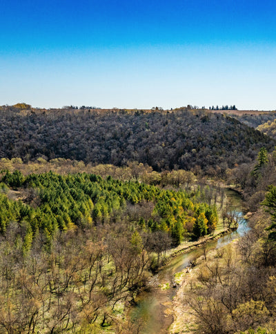 Easy Time in the Driftless